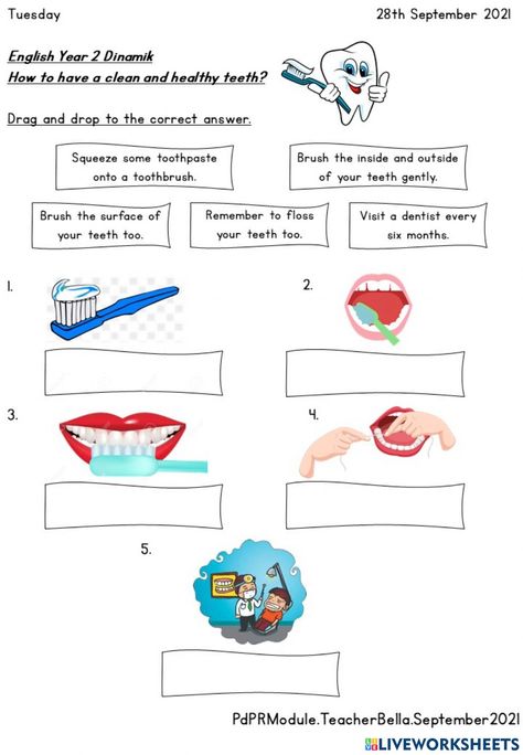 Dentist Worksheets For Preschool, Teeth Cleaning Activities For Kids, Types Of Teeth Worksheet, Year 2 Worksheets, Teeth Worksheet, Tooth Health Kids Activities, Healthy Teeth Activities For Kids, Indefinite Pronouns, Active And Passive Voice