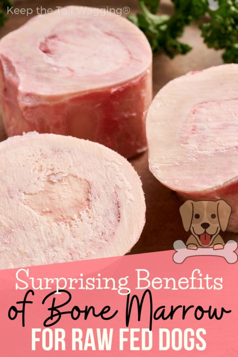 Marrow Bones For Dogs, Raw Feeding For Dogs, Bones For Dogs, Cook Dog Food, Raw Dog Food Diet, Tail Wagging, Raw Dog Food Recipes, Dog Nutrition, Dog Diet