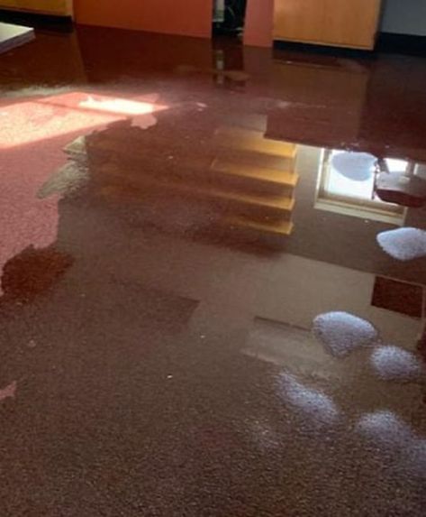 We have a highly professional team who are well experienced in all areas of Water Damage Restorations Adelaide. Carpet Repair, Flood Damage, Water Damage, Carpet, Repair, Canning