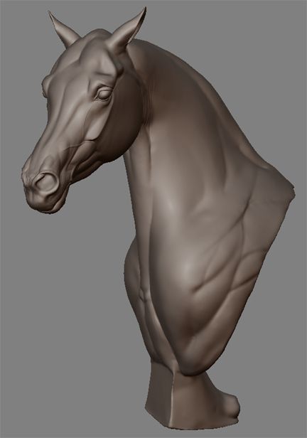 Arabian horse bust in progress, sculpted digitally with Sculptris Horse Head Sculpture, Horse Bust, Horse Wreaths, Horse Anatomy, Digital Sculpting, Digital Sculpture, Sculptures Céramiques, Equestrian Art, Horse Face