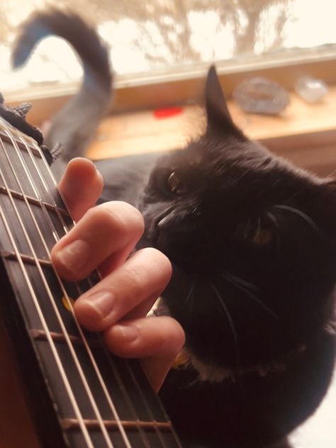 Guy Holding Camera Aesthetic, Guy Playing Acoustic Guitar, Playing Acoustic Guitar Aesthetic, Lead Guitarist Aesthetic, Guitar Guy Aesthetic, Guitarist Aesthetic Boy, Male Guitarist Aesthetic, Guitar Aesthetic Boy, Guitar Acoustic Aesthetic