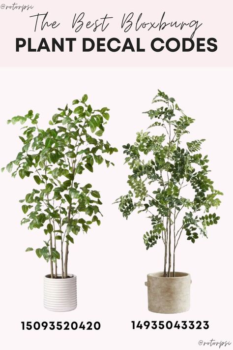 Bloxburg Transparent Decals Codes, Bloxburg Plant Decals Codes Indoor, Bloxburg Tree Decals Codes, Vine Decals Bloxburg, Bloxburg Vines Decals Codes, Tree Decals Bloxburg, Bloxburg Tree Decals, Bloxburg Plants, Bloxburg Plant Decals Codes