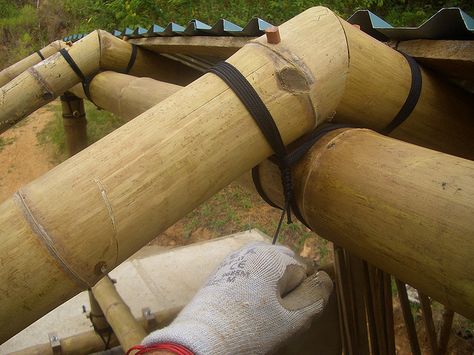 Bamboo Art Diy, Work Shed, Bamboo Furniture Design, Bamboo Roof, Backyard Guest Houses, Bamboo Building, Earth Bag Homes, Bamboo Diy, Diy Greenhouse Plans