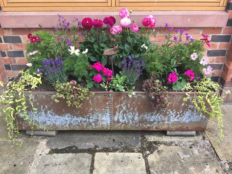 Trough Planting Ideas, Trough Planter Ideas, Water Trough Planter, Atrium Ideas, Plant Troughs, Fenced Garden, Patio Container Gardening, Garden Troughs, Potted Garden