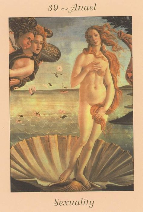 Aphrodite Aesthetic, Masterpieces Painting, Angel Blessings, Birth Of Venus, Sandro Botticelli, Rennaissance Art, Arte Inspo, Famous Artists, Aphrodite