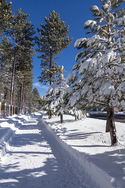 Walkway, South Lake Tahoe,  California  Lake Tahoe Vacation Rentals Beautiful views at Lake Tahoe. Luxury vacation rentals. Want to see the best places to stay? Go to: www.visit-eldorado.com ! Tahoe Winter, Tahoe Vacation, Lake Tahoe Vacation, Lakes In California, Tahoe California, Lake Tahoe California, Snow Trip, South Lake Tahoe, Winter Scenery