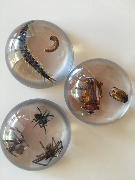 Bug Catching, Seni Resin, Clear Casting Resin, Random Objects, Making Resin Jewellery, Margaret River, Resin Jewelry Diy, Spoiled Rotten, Epoxy Resin Crafts