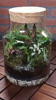 Terrarium With Water Feature, Plant Terrarium Closed, Terrarium Plants Closed, Terriums Ideas, Closed Plant Terrarium, Closed Terrarium Ideas, Ecosystem In A Jar, Ecosystem Terrarium, Plant Ecosystem