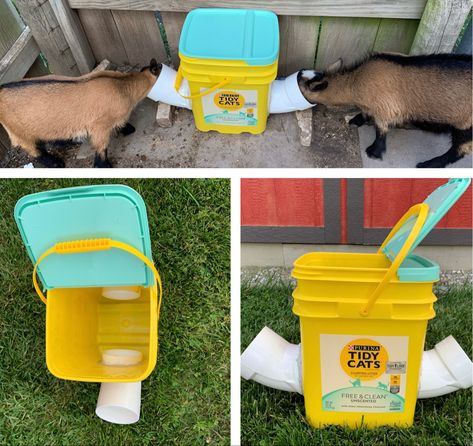 Goat Pellet Feeder, Automatic Goat Feeder, Diy Goat Grain Feeder, Goat Grain Feeder Ideas, Diy Goat Treats, Diy Goat Feeder Grain, Goat Feeders Grain, Goat Bottle Feeder Diy, Goat Mineral Feeder Diy