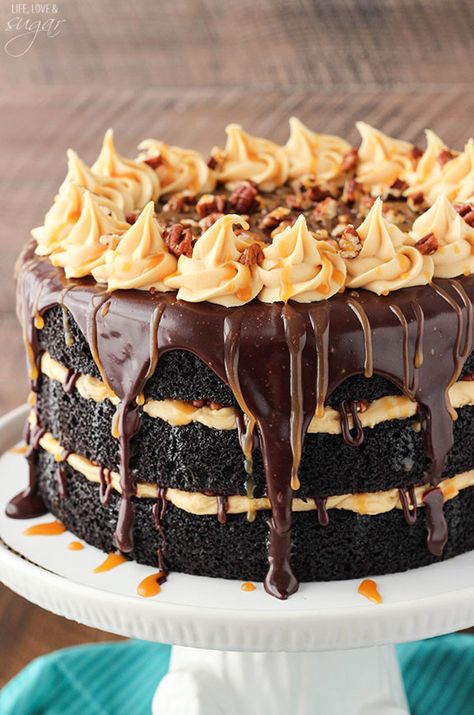 Turtle Chocolate Layer Cake! Layers of moist chocolate cake, caramel icing, chocolate ganache and pecans! So good! Life Love And Sugar, Super Moist Chocolate Cake, Chocolate Turtle, Caramel Icing, Chocolate Turtles, Turtle Cake, Chocolate Layer Cake, Dessert Dips, Moist Chocolate Cake