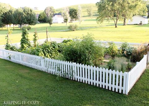 Keeping It Cozy: This Summer's Garden Fence Around Garden Bed, Garden White Picket Fence, Picket Fence For Garden, White Picket Fence Vegetable Garden, White Fenced Garden, Picket Fence Around Garden, White Garden Fence Ideas, Fenced Off Garden Area, Picket Garden Fence