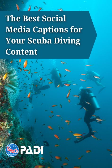 Scuba Diving Captions Instagram, Underwater Captions Instagram, Underwater Quotes, Scuba Diving Aesthetic, Water Captions, Diver Quotes, Social Media Captions, Scuba Diving Pictures, Scuba Diving Quotes