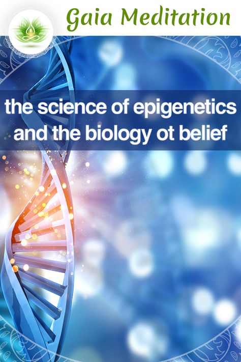 The Science of Epigenetics and the Biology of Belief Epigenetics is the study of the interactions between DNA and the multitude of smaller molecules found within cells, which can activate or deactivate genes. It might actually complicate the old ‘nature versus nurture’ question even more. | Read more about it and about the Subconscious Mind reprogramming explained by Dr. Bruce Lipton. Genetic Memory, Mind Reprogramming, Biology Of Belief, Bruce Lipton, Mast Cell, The Subconscious Mind, Health Topics, Joe Dispenza, Brain Waves