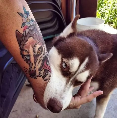 What can be better than a Husky tattoo? The colorful tattoo only!👆🏽 We want to show you how colorful Husky tattoo can be on your body!🌈☀ American Traditional Husky Tattoo, Dog Chest Tattoo, Angry Dog Tattoo, American Traditional Dog Tattoo, Siberian Husky Tattoo, Husky Tattoo Design, Animal Lover Tattoo, Pet Tattoo Ideas, Husky Tattoo