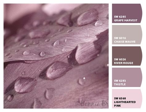 Paint colors from ColorSnap by Sherwin-Williams Grape Harvest, Grape Harvesting, Sherwin Williams, Color Me, Paint Colors, Grapes, Home Improvement, Paint, Quick Saves