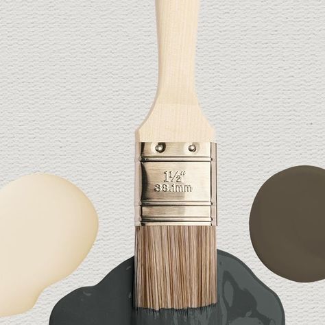 Sherwin-Williams on Instagram: "Reflect the extravagance of the times in your space. Pair a neutral hue like Classical White SW 2829 with rich tones like Greenblack SW 6994 or Bosc Pear SW 6390 for a dramatic vibe. Swipe to see the colors that complete the palette." Greenblack Sw, Mood Board Interior, Sherwin Williams, The Times, Color Names, Paint Colors, Mood Board, Canning, Color