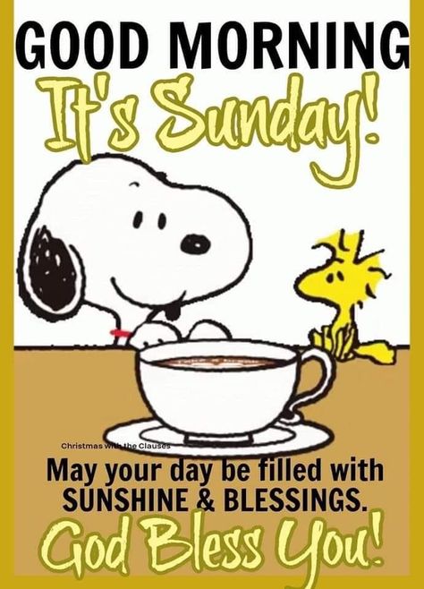 Snoopy Sunday, Good Morning Christmas, Peanut Gallery, Sunday Morning Coffee, Happy Sunday Morning, Good Morning Snoopy, Sunday Greetings, Daily Humor, Good Sunday Morning