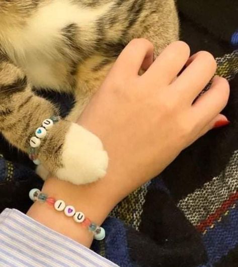 Cat Collars Diy, Ankle Bracelets Diy, Flipagram Instagram, Collars Diy, Cat Bracelet, Beads Bracelet Design, Jewelry Accessories Ideas, Source Unknown, Pet Lover