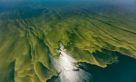 Arctic Sea, Public Domain Photos, Aerial Photograph, Water Bodies, Lake Erie, Photosynthesis, Water Systems, Ecosystem, Marine Life