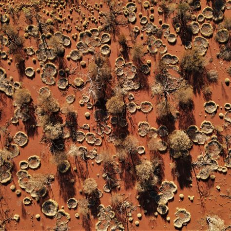 Earth Texture, Art Assignments, Earth Images, Red Earth, Email Marketing Newsletter, Red Dirt, Aerial Images, Pastel Landscape, Alice Springs