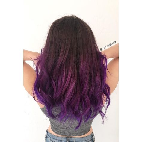 Dark Brown Hair With Purple Ends, Purple Dip Dye Hair Brunette, Brown To Dark Purple Ombre Hair, Brown To Purple Ombre Hair Long, Purple Hair Tips, Dark Purple To Lavender Ombre Hair, Boliage Hair, Purple Brown Hair, Purple Ombre Hair