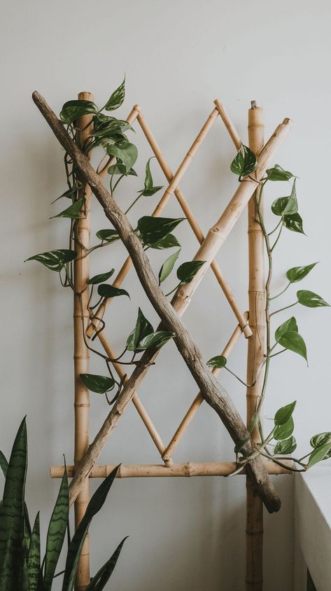 Craft trellises from bamboo or driftwood for your climbing plants. A natural, sustainable way to support plant growth indoors. Click to find out how! Indoor Oasis, Plant Store, Eco Friendly Diy, Eco Friendly Garden, Trellis Plants, Container Gardens, Indoor Gardening, Green Decor, Climbing Plants