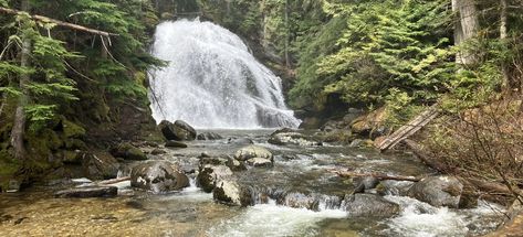 Snow Falls Trail #189, Idaho Panhandle National Forest, Bonners Ferry, ID, United States | AllTrails.com Idaho Panhandle, A Short Hike, Snow Falls, Private Property, Dog Runs, Running Water, National Forest, Idaho, Spring Time