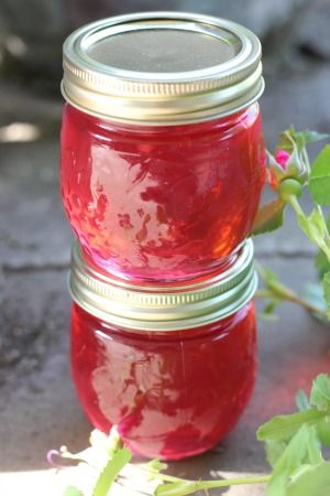 Storing Recipes, Canning Guide, Rose Jelly, Pickled Foods, Food Canning, Dehydrating Food, Yard Plants, Canning Pickles, Homestead Kitchen