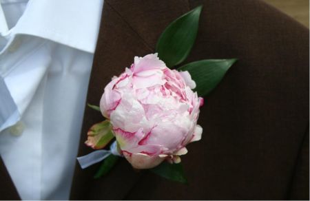 Peony buttonhole Peony Button Holes Wedding, Peony Groom Boutonniere, Peony Buttonhole, Legal Wedding, Floral Chandeliers, Buttonhole Flowers, Groom Buttonholes, Button Holes Wedding, Floral Chandelier