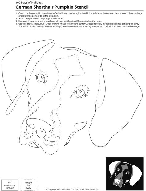 22 Downloadable Dog Breed Pumpkin Stencils Dog Pumpkin Carving, Sheep Quilt, Dog Template, Dog Stencil, Pumpkin Stencils, Pumpkin Cutouts, Dog Pumpkin, Dog Quilts, German Shorthair