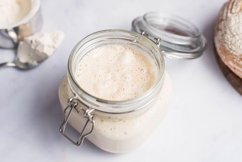 Discover one of the most basic of sourdough starters. It's perfect for beginners and sourdough newbies. Use Sourdough Starter, Friendship Bread Recipe, Recipes With Yeast, Homemade Baked Bread, Chia Overnight Oats, Sourdough Bread Starter, Friendship Bread, Starter Recipe, Bread Starter