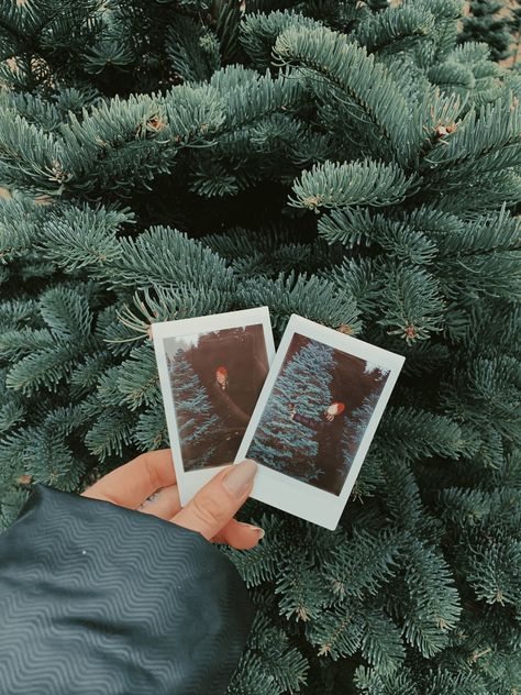 Holiday Polaroid Pictures, Christmas Poloroid Ideas, Christmas Polaroid Aesthetic, Polaroid Pictures Photography, Christmas Gift Cheap, Christmas Polaroid, Instax Ideas, Cozy Romantic, Trees Lights