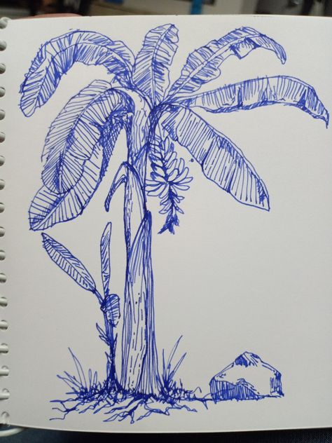 #inkpen #sketch #pratikartz #bananatree Banana Tree Sketch, Tropical Sketch, Papaya Tree, Tree Sketches, Landscape Sketch, Banana Tree, Pen Sketch, Drawings Simple, Sketches Easy