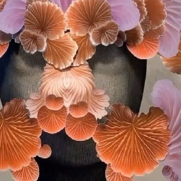 Sharlene Durfey François on Instagram: "Just a little video featuring some of my mushroom masks! Thanks to @planet_fungi @megmaddendesign @fungiphotoholic and @garden_and_cosmos for the inspirational photos! I am so excited about mushroom season being here!!!! Phili and I recently found the most beautiful chanterelles. Still in my top five favorite mushrooms. The smell of them is just unbelievable! How can a mushroom smell like an apricot? I will be showing my work at @mahallaberlin for Ber Mushroom Mask, Inspirational Photos, Top Five, How Can, So Excited, Cosmos, Photo Inspiration, Apricot, Planets