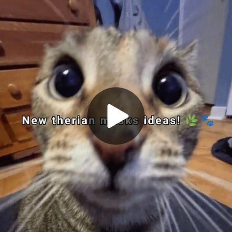 #therian #therians #ilovetherian #ilovetherians #ideas #maskidea #mask... | TikTok Cat Mask Diy, Quick Halloween Costumes, Therian Mask, Messy Bob Hairstyles, Cat And Dog Videos, Meatballs Easy, Mask Ideas, Bob Haircut For Fine Hair, Swedish Meatballs