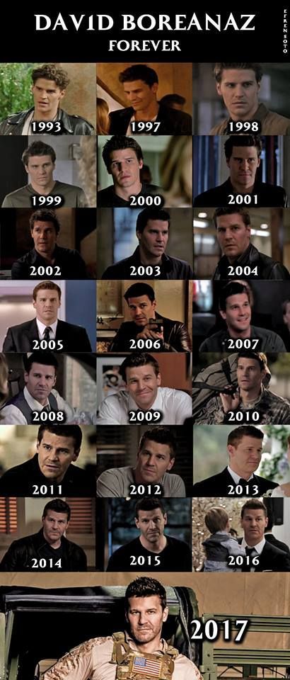 David Boreanaz Bones, David Boreanaz Angel, Bones Memes, Seeley Booth, Bones Tv Series, Booth And Bones, Booth And Brennan, Angel Show, Bones Tv Show