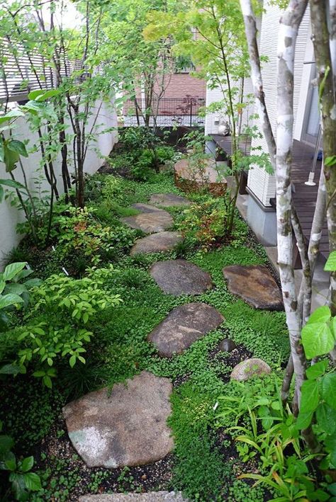 Small Backyard Gardens, Gravel Garden, Garden Design Layout, Backyard Pools, Easy Landscaping, Have Inspiration, Outdoor Gardens Design, The Secret Garden, Backyard Garden Design