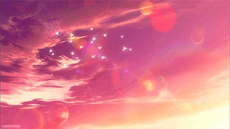 💖✨ Sunset Gif, Gif Background, Akagami No Shirayukihime, Snow White With The Red Hair, Pastel Red, Cute Banners, Red Sunset, Banner Gif, Pink Sunset