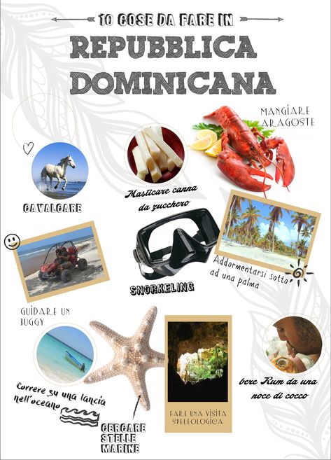 10 cose da fare in Repubblica Dominicana ⋆ BOHEME Snorkeling