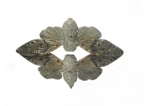 Märta Mattsson. Brooch: Fossil, 2011. Crushed pyrite, cicadas, silver, resin. Brooch Design, Abstract Jewelry, Whimsical Jewelry, Art Jewelry Contemporary, Small Sculptures, Contemporary Crafts, Silver Brooch, Contemporary Jewellery, Contemporary Jewelry