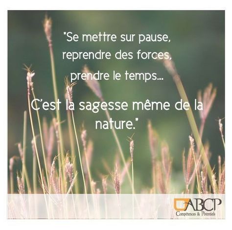 Citation Nature Inspiration, Citation Nature, French Lessons, More Than Words, Nature Travel, Amazing Nature, Happy Quotes, Wisdom Quotes, Positive Thinking