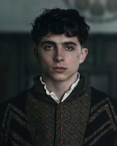 Timothy Chamelet, Timothee Chalamet King, Timothee Chalamet The King, The King Timothee Chalamet, Regulus Acturus Black, Brandon Sanderson, Timmy T, Regulus Black, King Henry