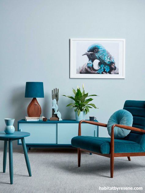 Duck Egg Blue Colour, Freedom Furniture, Brown Living Room, Blue Living Room, Blue Rooms, Velvet Armchair, Duck Egg Blue, Armchair Design, Duck Egg