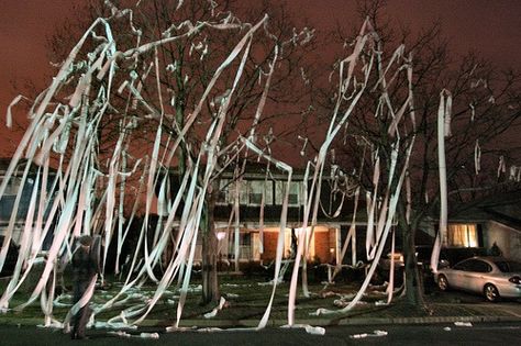 TP a house- check! Yard Pranks, House Pranks, Pranks To Pull, Great Pranks, Halloween Pranks, Halloween Tricks, Halloween Cans, Paper Streamers, Chicago History