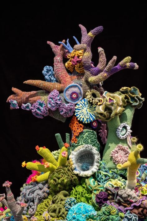 Crochet Coral Reef, Crochet Coral, Colossal Art, Powerful Art, Marine Biology, Art Practice, Soft Sculpture, Textile Artists, Crochet Techniques