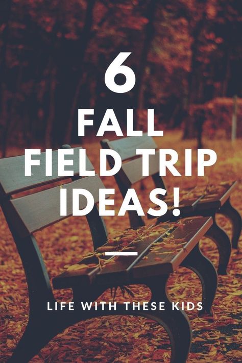 Our top fall field trip ideas plus FREE printable scavenger hunts! Best Aunt Quotes, Aunt Quotes, Homeschool Field Trips, Book Suggestions, Famous Books, Reading List, Field Trip, Be Afraid, Travel Quotes