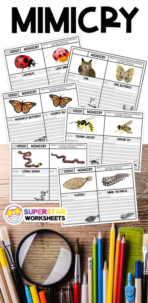 Learning about animal mimicry is an exciting opportunity for your students! Creation is filled with numerous examples of microevolution and adaptations within a species. Use these free printable mimicry worksheets to encourage your students to research these fascinating creatures! Animal Mimicry, Animal Adaptations Activities, Adaptations Science, Adaptations Activities, Simple Machines Activities, Biomimicry Examples, Zoo Activities, Animal Classification, Animal Adaptations