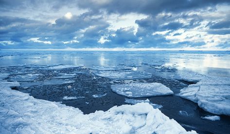 Loss of Arctic sea ice impacting Atlantic Ocean water circulation system | YaleNews Cold Ocean, Ocean Science, Arctic Sea, Arctic Ice, Sea Ice, Arctic Ocean, Surface Water, Yale University, Ocean Water