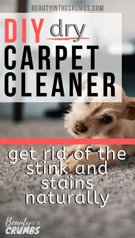 Homemade Dry Carpet Cleaner Dry Carpet Cleaner, Carpet Cleaner Solution, Carpet Smell, Carpet Deodorizer, Dry Carpet Cleaning, Carpet Cleaner Homemade, Diy Carpet Cleaner, Natural Carpet, Carpet Cleaning Hacks