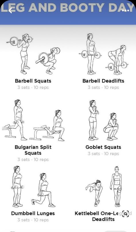 Glutes With Dumbbells, Workout Dumbell Women, Leg Day With Dumbbells, Women Lower Body Workout, Gym Dumbell, Workout Dumbell, Lower Body Workout Gym, Quick Leg Workout, Gym Routines